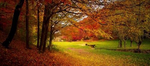 Automne en couleur...