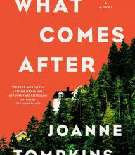 Online Read Ebook What Comes After: A Novel
