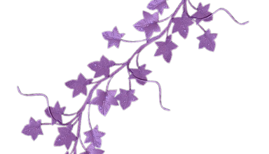 Ѽ Vegetation 