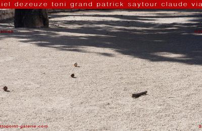 DANIEL DEZEUZE,TONI GRAND,PATRICK SAYTOUR,CLAUDE VIALLAT,EXPOSITION