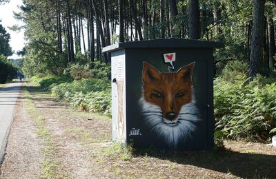 EB - Street-art dans la ville : animaux de la forêt...