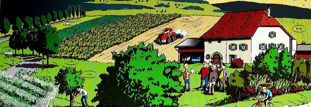 Les paysages ruraux
