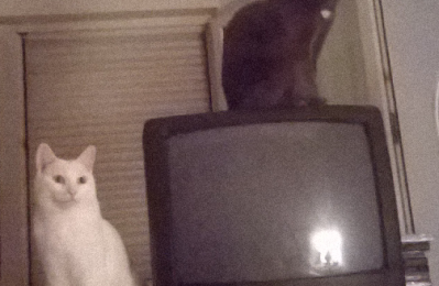 Sous haute surveillance