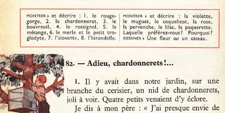 Dumas CE1 S21 Des fleurs et des oiseaux