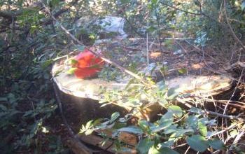 LES FEMMES LAVEAINT LEUR LINGE DANS LES BOIS - 2/5