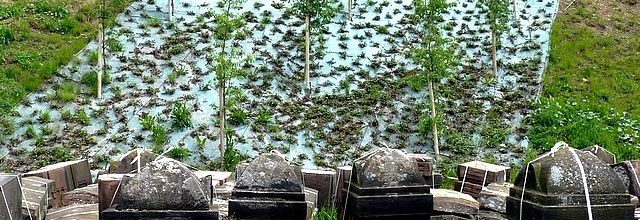 Metz / La vieille clôture près du Centre Pompidou-Metz...