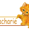 Chat, signatures animee