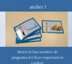 les pingouins