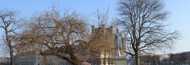 Jardin des Tuileries : un printemps bien timide ...