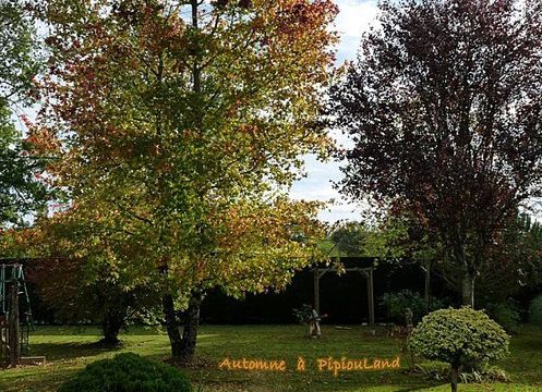 L'automne 2020 est là