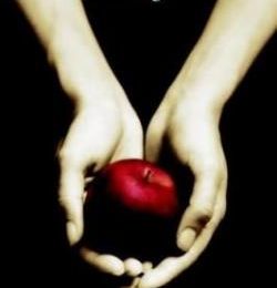 Twilight, tome 1 : Fascination de Stephenie Meyer