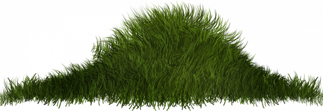 ѼVegetation