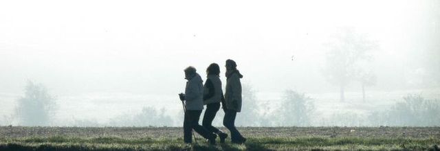 Les randonneuses  (A & A et Cie n° 95)