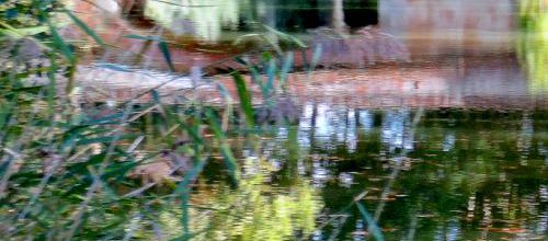 Canal du Midi : des péniches 