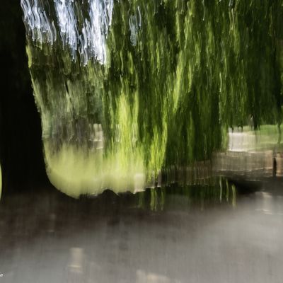 Promenade printanière