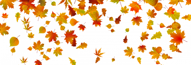 ☀️ Autumn