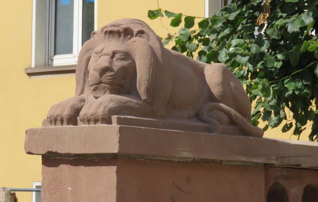 Sarrebourg en Moselle -2