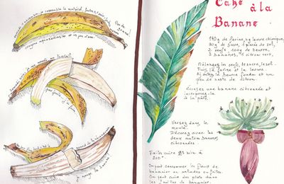 Cake à la banane, aquarelle