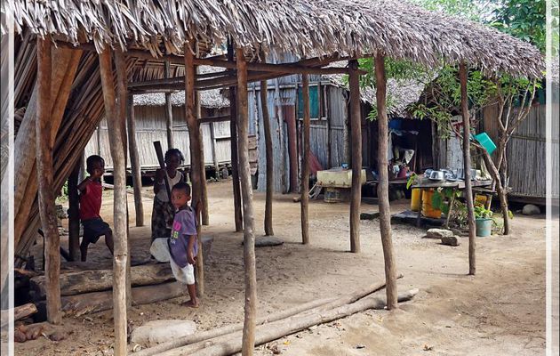Petit bout de femme mais tout d'une grande ! - Antanambe - Nosy Sakatia - Madagascar