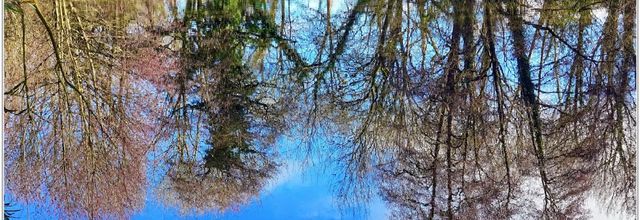 Balade / Dimanche 14 Janvier 2018