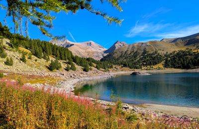 Arrière saison pour les marmottes.