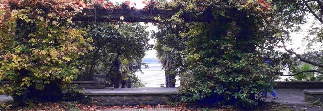  automne  prés de la mer 