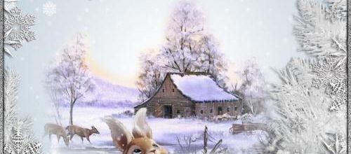  Fond hiver .