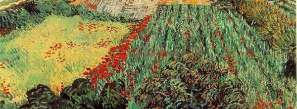 Samedi - Un Van Gogh : "Champ aux coquelicots"
