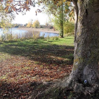 Les ors de l'automne