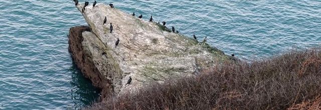 Escapade de Noël à Groix : Pen Men