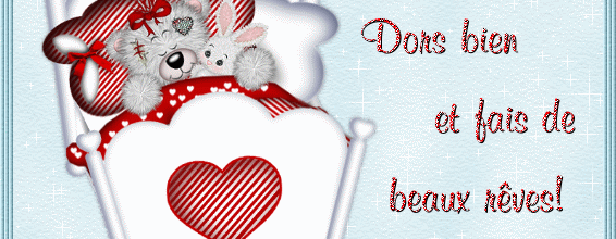 BONNE SOIREE ET BONNE NUIT MES AMIS ES