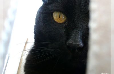 Elle est partie le jour du printemps 2014 