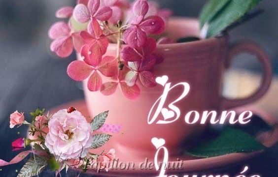 Coucou