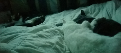 Le sommeil simple comme ...