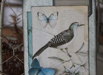 Double tag aux oiseaux