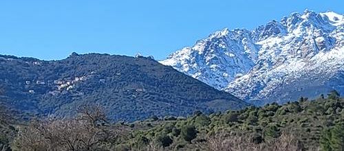 Défi  276 : les niveaux de langue