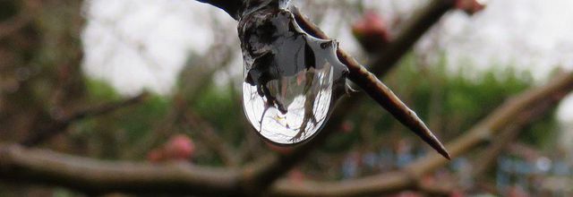 Reflets dans 1 goutte