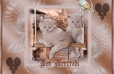BON MERCREDI MES AMIS ES