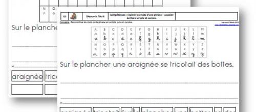 GS - Reconstituer une phrase, associer écriture scripte et cursive - thème araignée