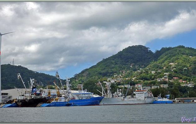 12/12/2021 : nous sortons de la marina d'Eden Island et poursuivons notre navigation vers Silhouette en longeant la côte nord-est de Mahé - Seychelles