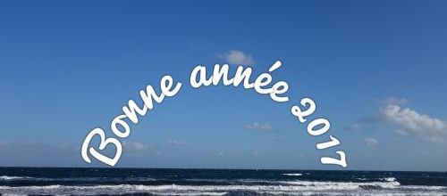 Bonne année 2017