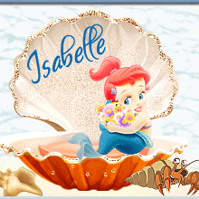 583B - 583C - Coquillage