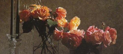 La jeunesse des roses...