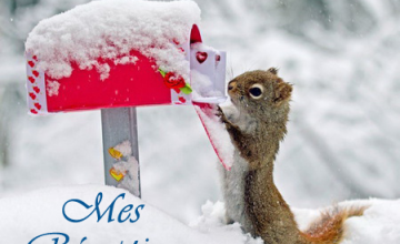 In My Mailbox (Mes dernières réceptions) #38