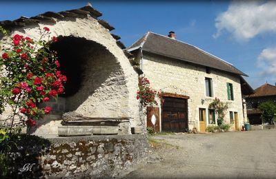 Au hasard du chemin