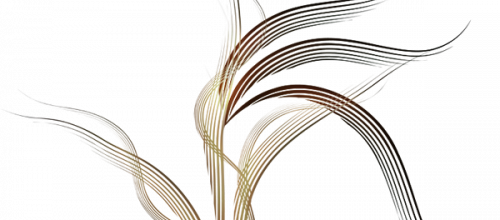 Ѽ Vegetation 