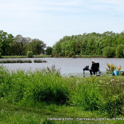 Grand Fay plan d'eau à St Père en Retz - 44  -