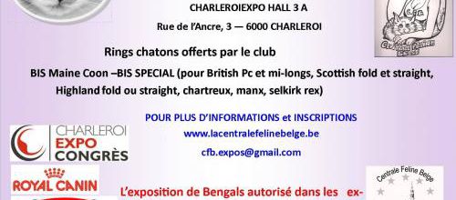 Expos de Juillet : 