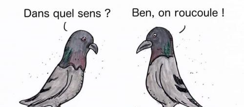 Ahis à la population !