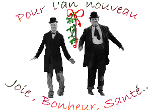 L'N'Co et A.S.N.E 44 vous souhaite une Bonne Année 2011